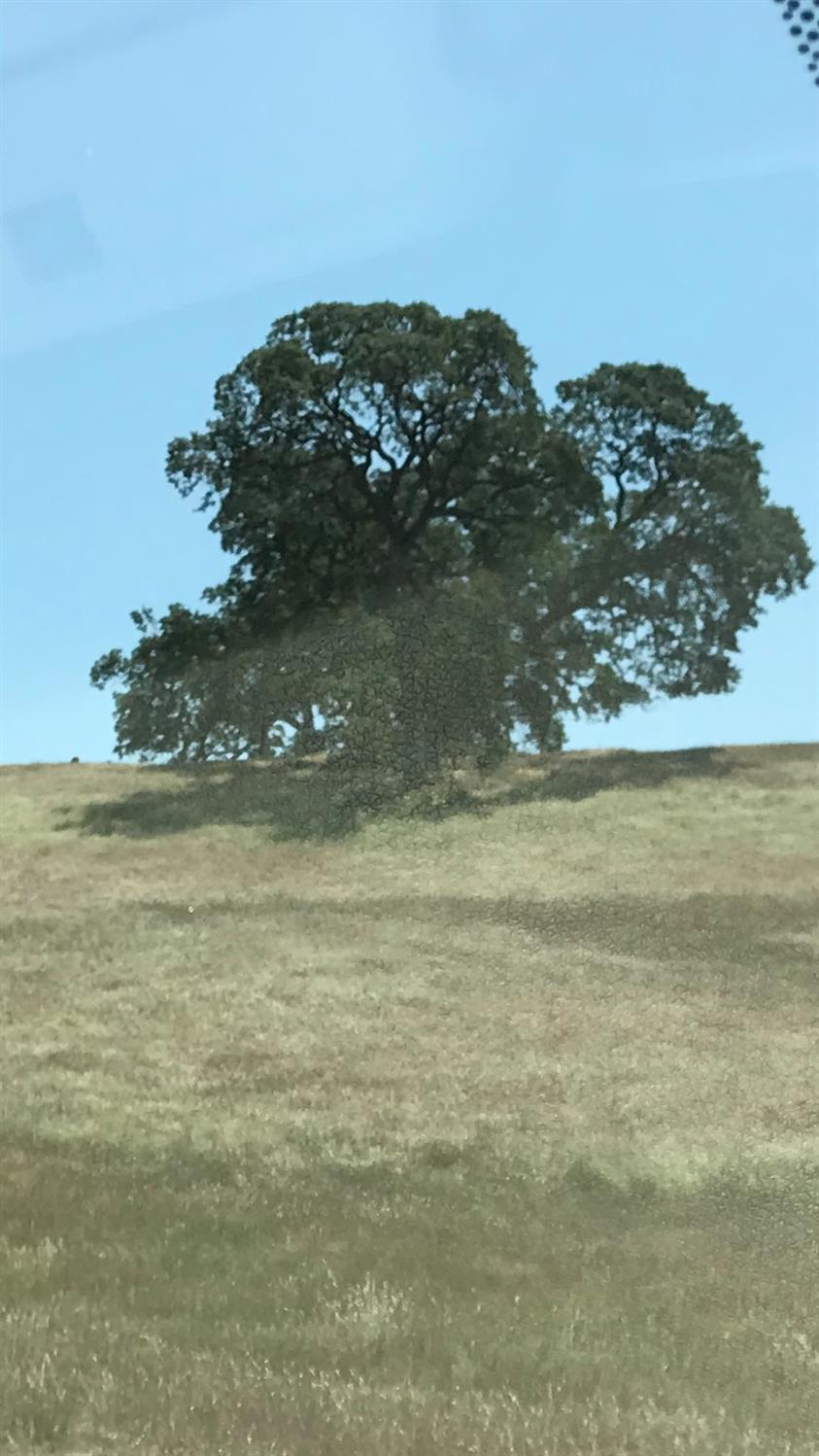14774 Milton Road Valley Springs, CA 95252 - Photo 35 of 43 a view of lake