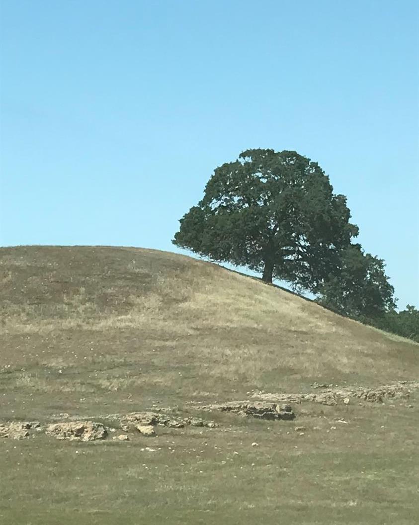 14774 Milton Road Valley Springs, CA 95252 - Photo 37 of 43 a view of ocean