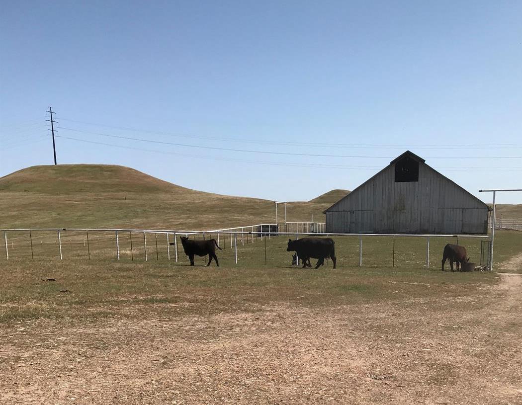 14774 Milton Road Valley Springs, CA 95252 - Photo 39 of 43 a backyard of a house with lots of green space