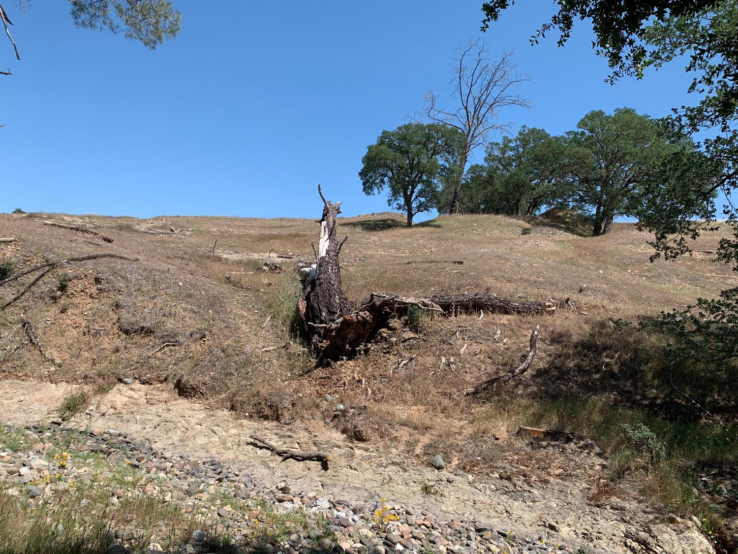 14774 Milton Road Valley Springs, CA 95252 - Photo 4 of 43 a view of a dry yard