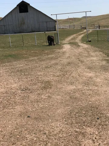 $10,000,000 | 14774 Milton Road, Valley Springs, CA 95252