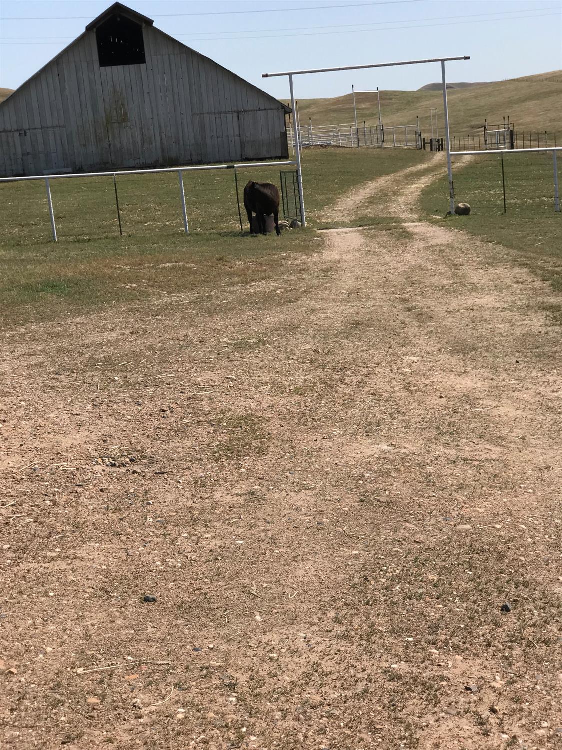 14774 Milton Road Valley Springs, CA 95252 - Photo 41 of 43 a view of a backyard