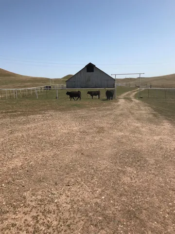 $10,000,000 | 14774 Milton Road, Valley Springs, CA 95252