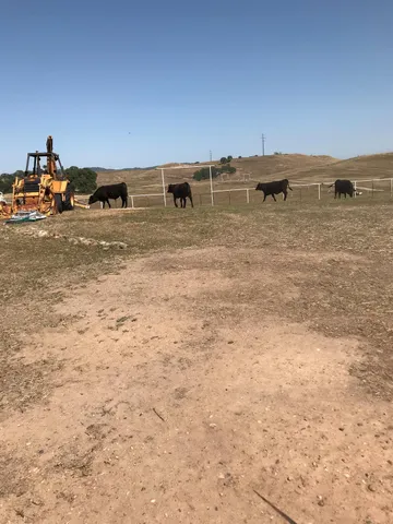 $10,000,000 | 14774 Milton Road, Valley Springs, CA 95252