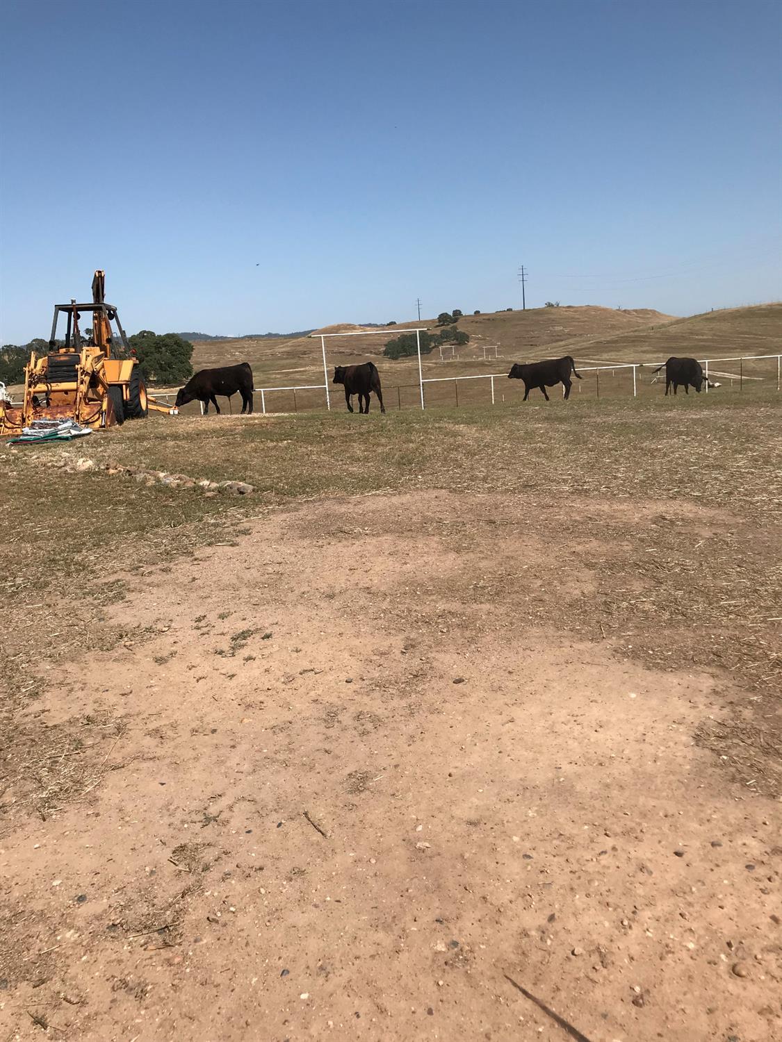 14774 Milton Road Valley Springs, CA 95252 - Photo 43 of 43 a view of outdoor space with wooden floor