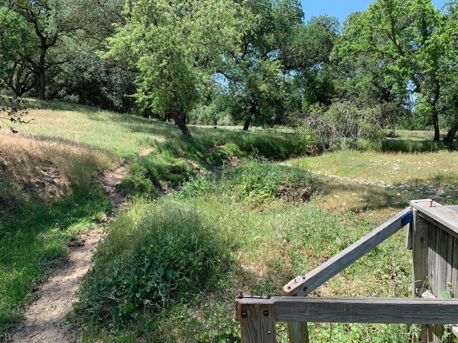 14774 Milton Road Valley Springs, CA 95252 - Photo 8 of 43 a view of a forest from a balcony