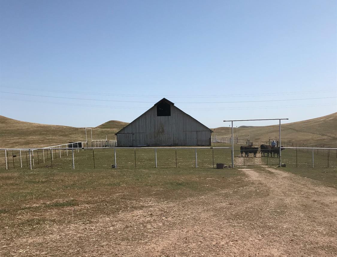 14774 Milton Road Valley Springs, CA 95252 - Photo 10 of 43 a view of a backyard