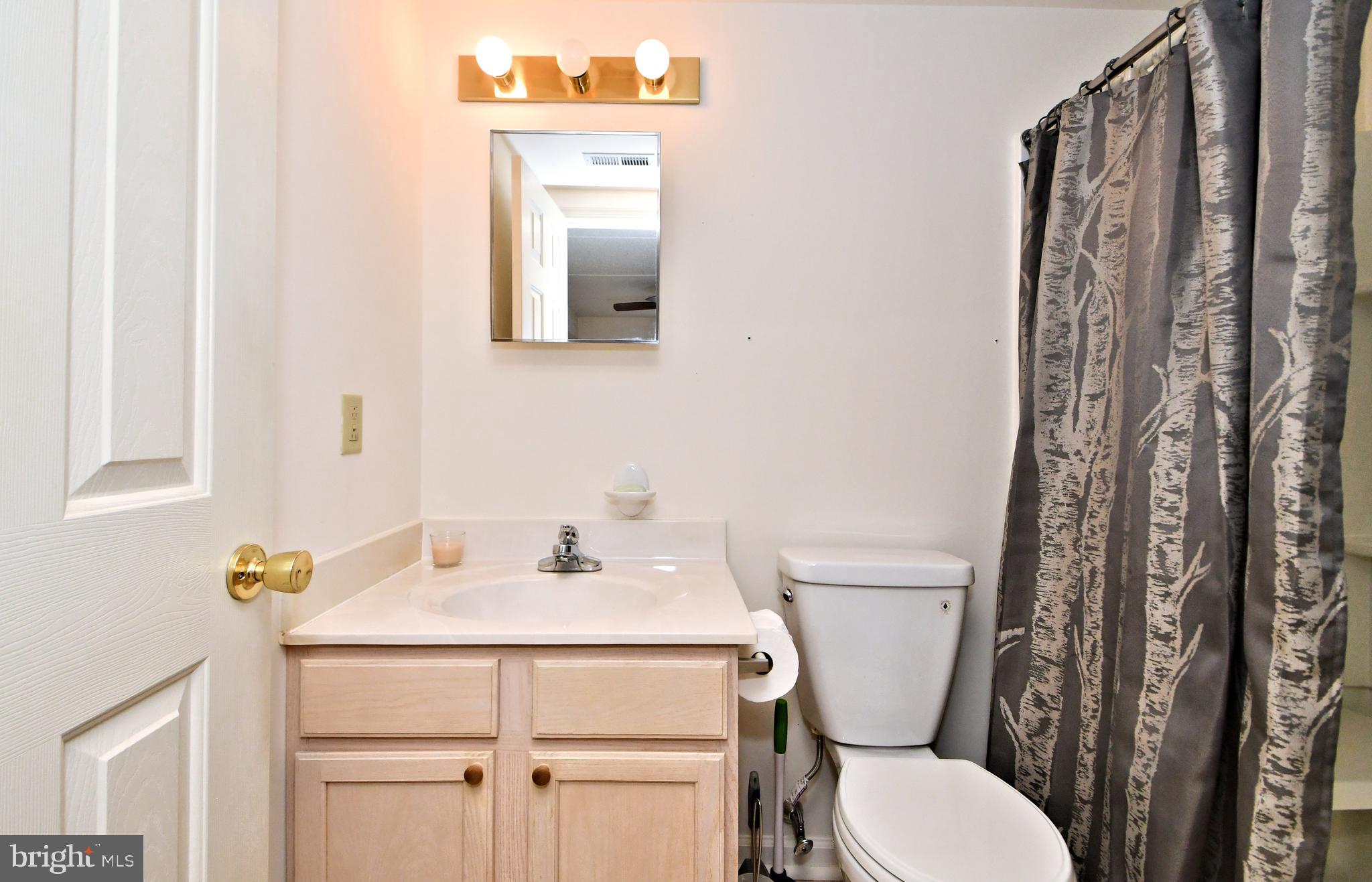 219 Brandon Road Eagleville, PA 19403 - Photo 21 of 28 Bath in Owners Suite