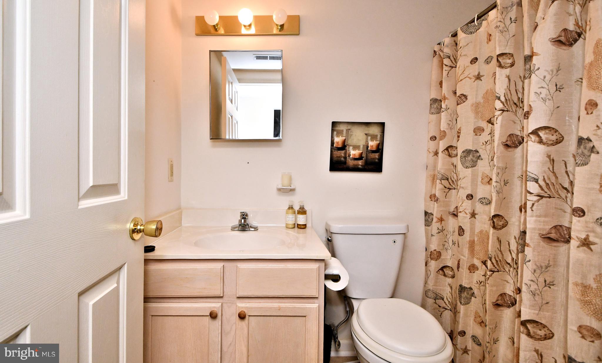 219 Brandon Road Eagleville, PA 19403 - Photo 25 of 28 Hall Bath