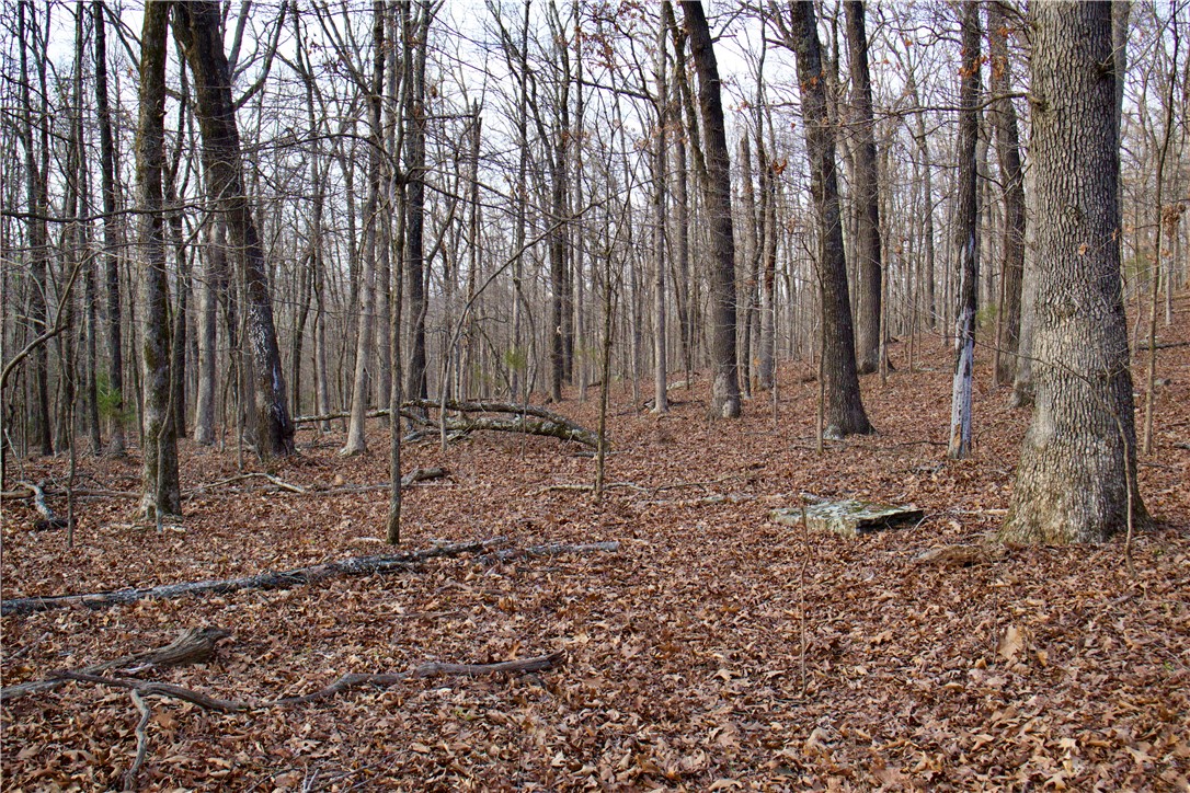 22.37 /- Acres Price Road Winslow, AR 72959 - Photo 42 of 60 Gallery Image 42