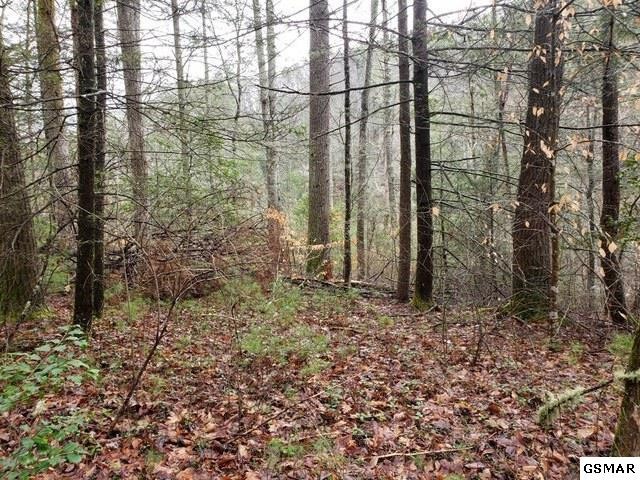 7 Overlook View Road Walland, TN 37886 - Photo 2 of 4