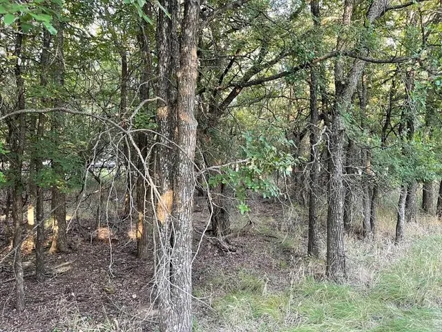 $10,001 | 622 Cypress Drive, May, TX 76857