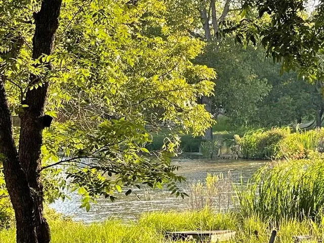 a view of swimming pool from a lake view