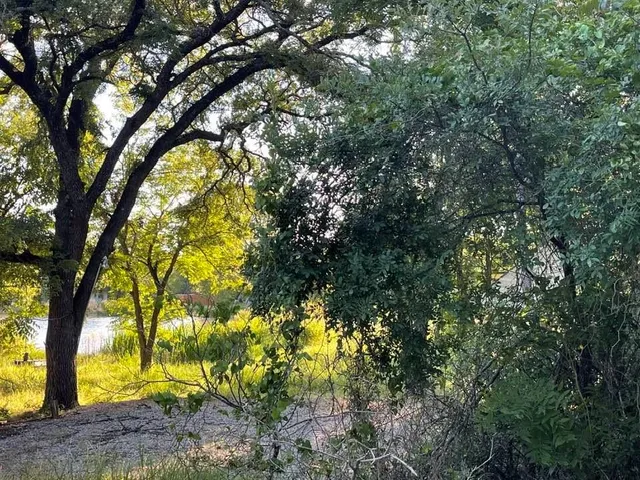 a view of backyard with green space