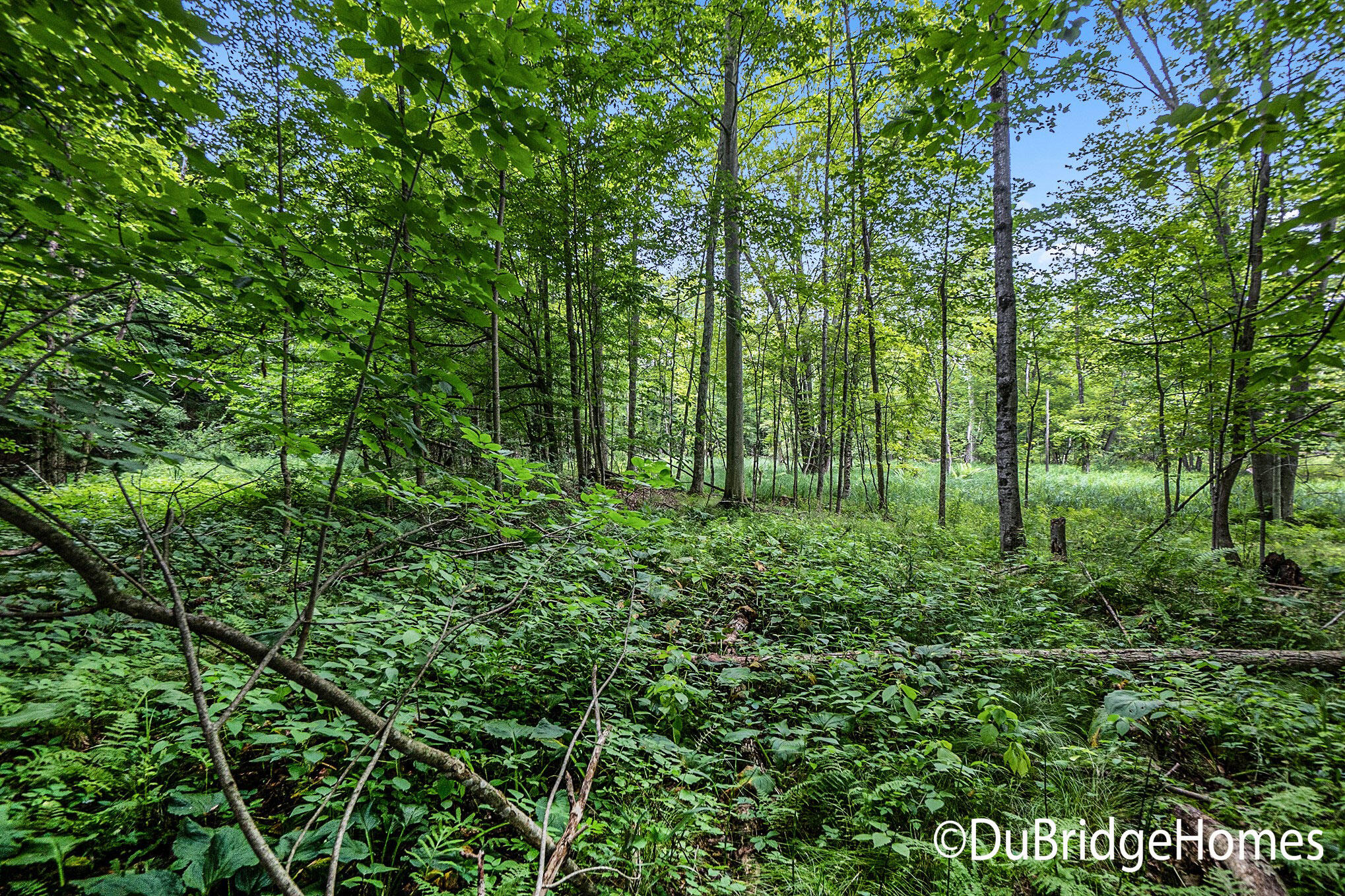 8 East Springhill Drive Hesperia, MI 49421 - Photo 12 of 27 DSC05189