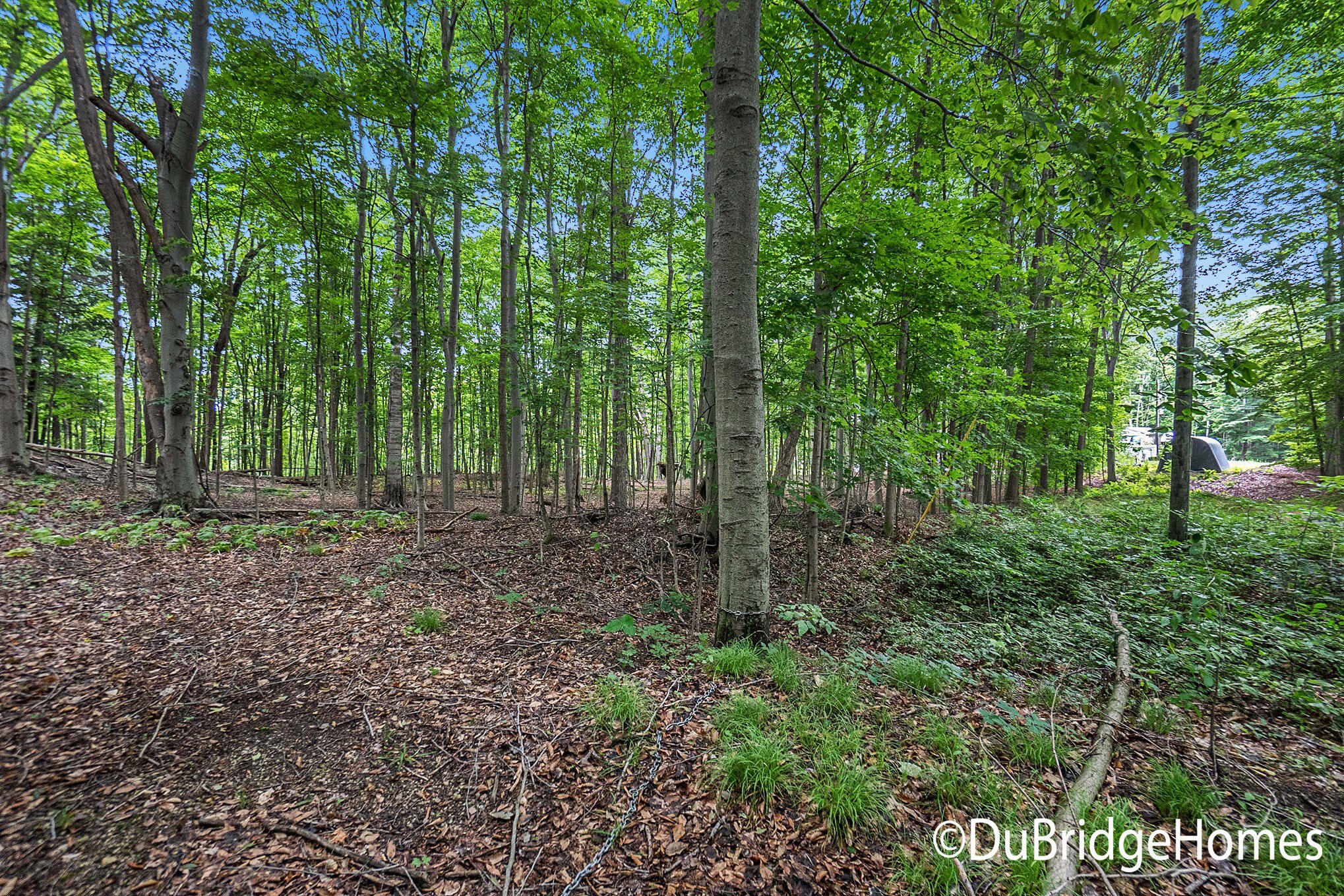 8 East Springhill Drive Hesperia, MI 49421 - Photo 6 of 27 DSC05194