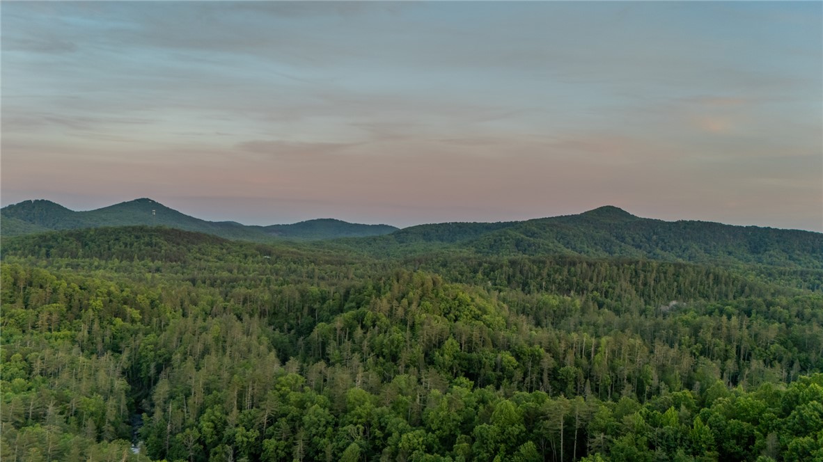 102 State Rd S-39-143 Sunset, SC 29685 - Photo 6 of 47 This elevated perspective captures rolling hills blanketed by a lush, verdant forest under a soft, diffused sky.
