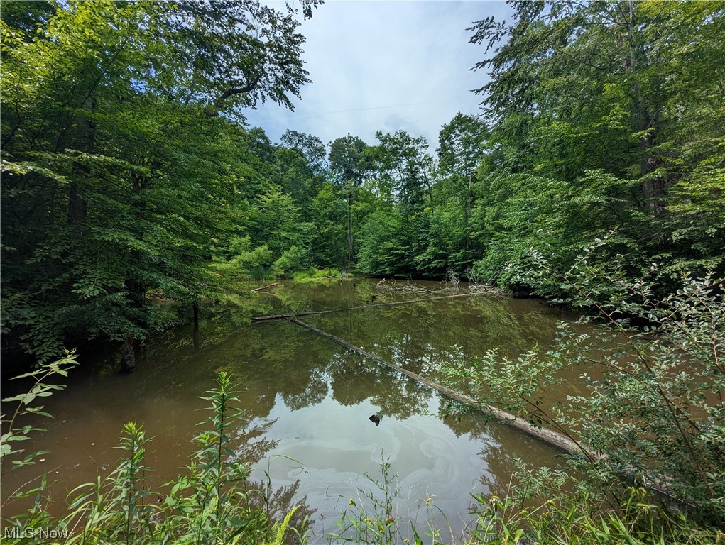 4101 Sand Ridge Road Normantown, WV 25267 - Photo 9 of 23