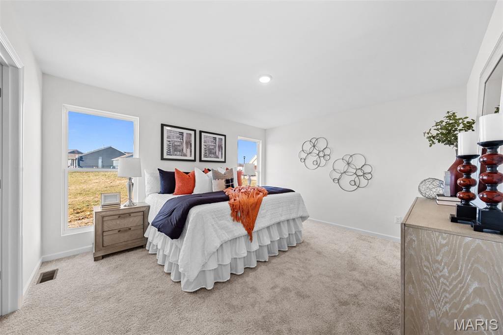 1 Tbb Tremont @ Pinckney Ridge Warrenton, MO 63383 - Photo 15 of 29