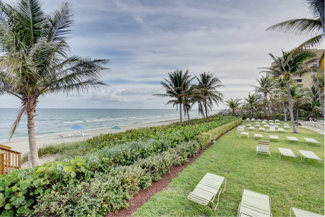 a view of a garden with palm trees