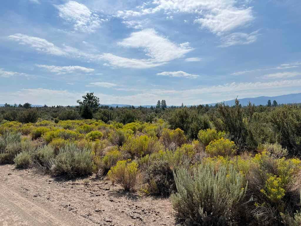 Yellow Jacket Springs Road, Unit 1200 Beatty, OR 97621 - Photo 16 of 32 IMG_6624