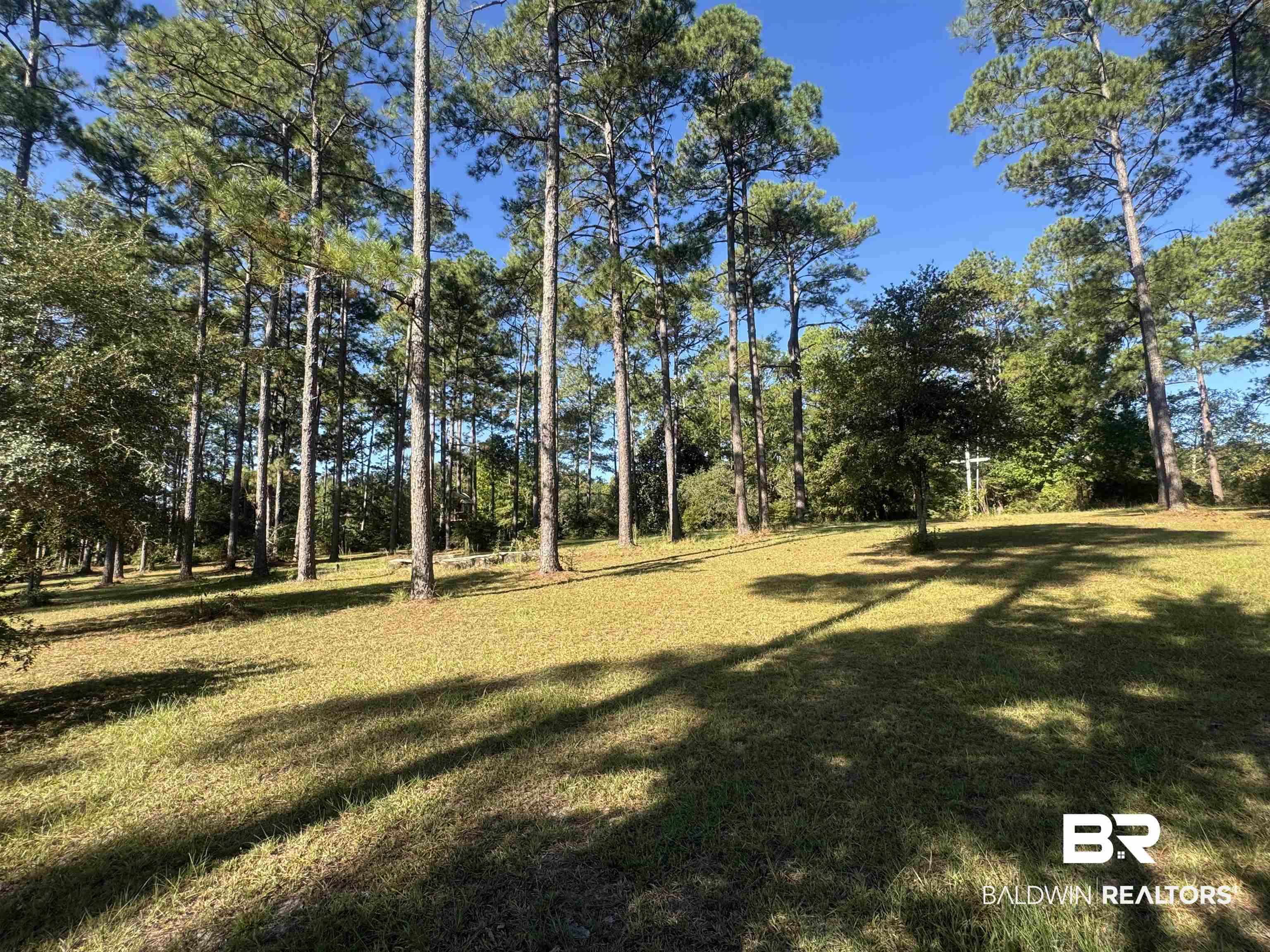 3097 Old Castleberry Road Brewton, AL 36426 - Photo 37 of 49 View of yard