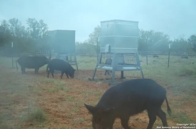 $1,044,320 | 1526 Sandy Road, Big Wells, TX 78830