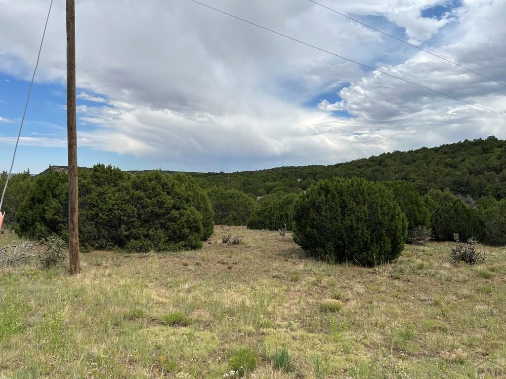 0 Sunrise Road Walsenburg, CO 81089 - Photo 4 of 4