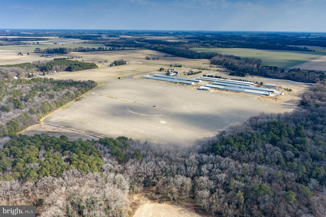 Liberty Road Federalsburg, MD 21632 - Photo 11 of 12