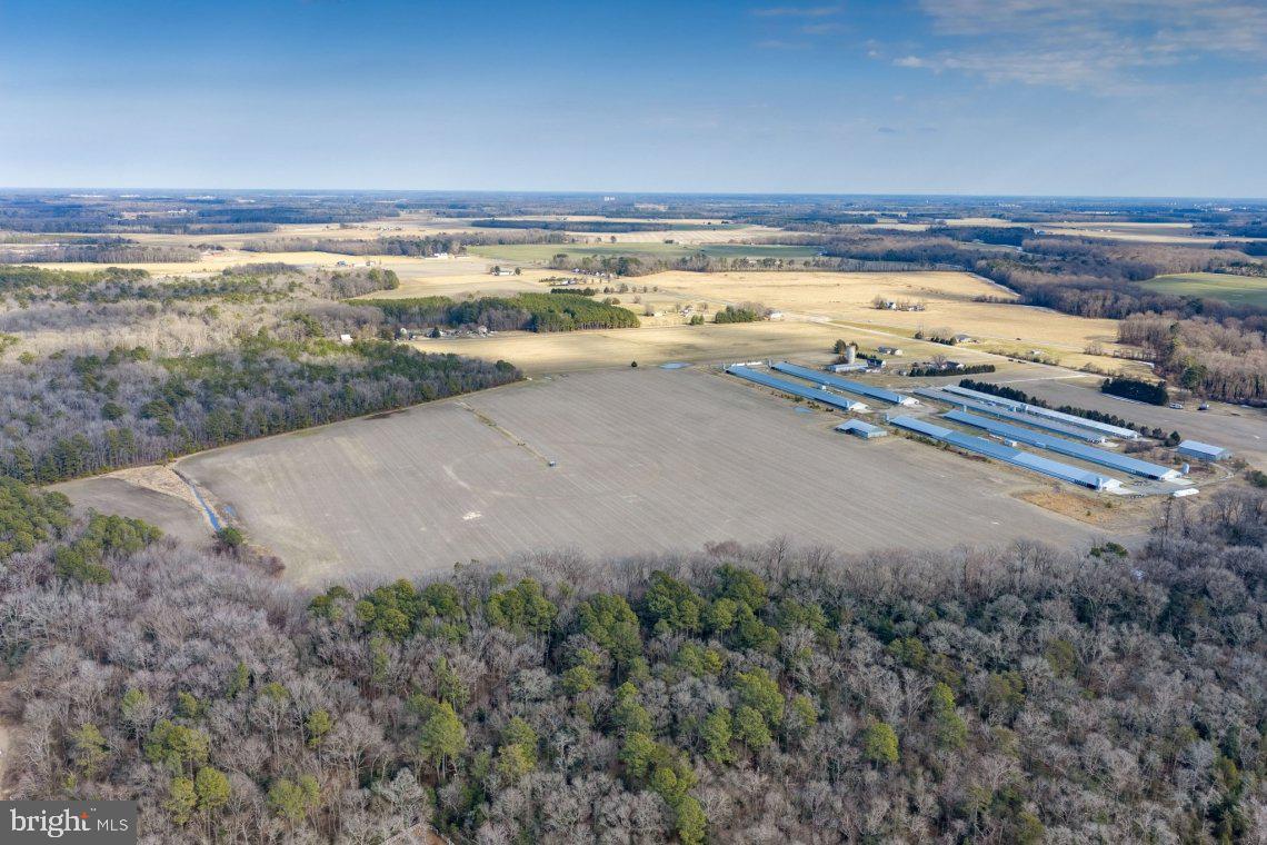 Liberty Road Federalsburg, MD 21632 - Photo 12 of 12