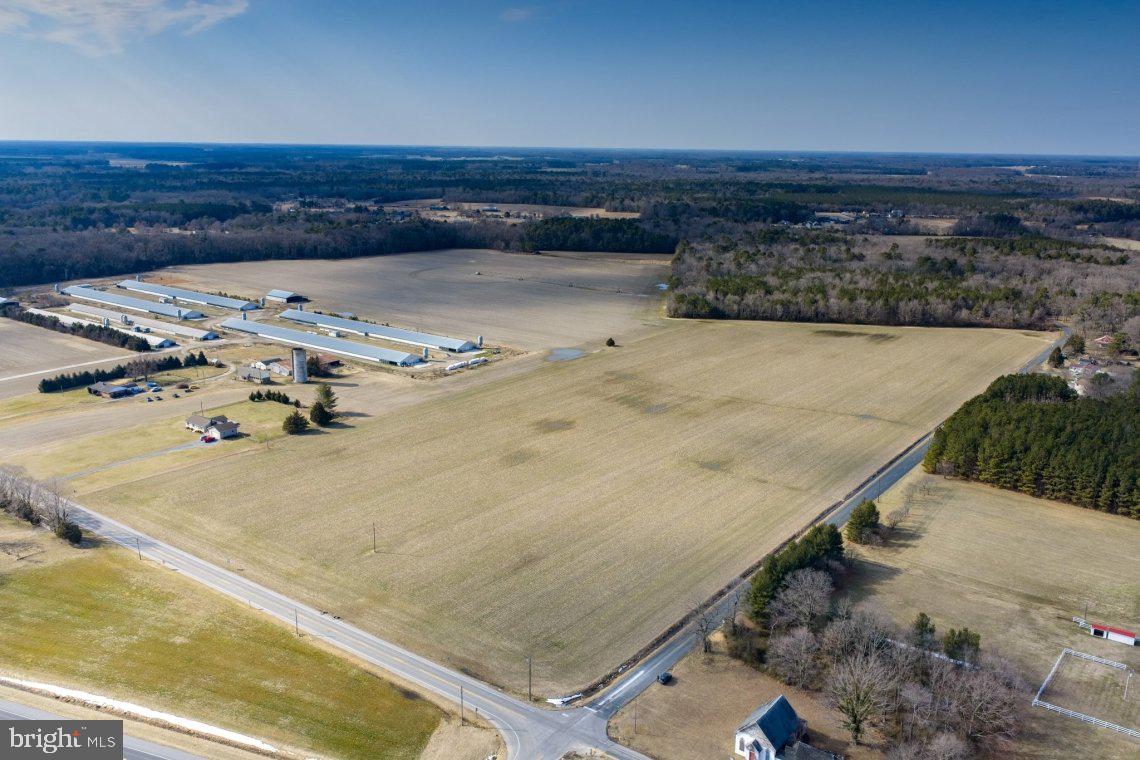 Liberty Road Federalsburg, MD 21632 - Photo 5 of 12