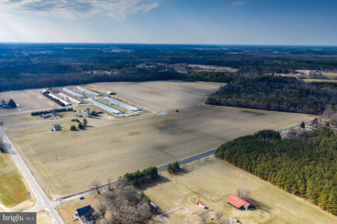 Liberty Road Federalsburg, MD 21632 - Photo 6 of 12