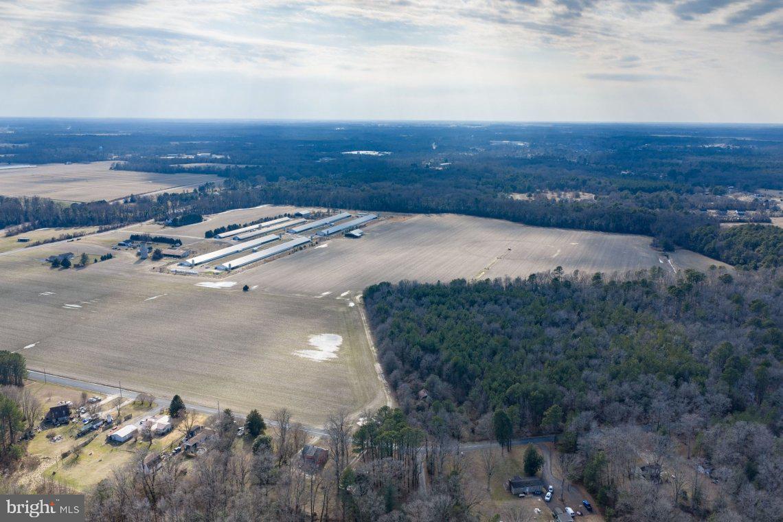 Liberty Road Federalsburg, MD 21632 - Photo 7 of 12