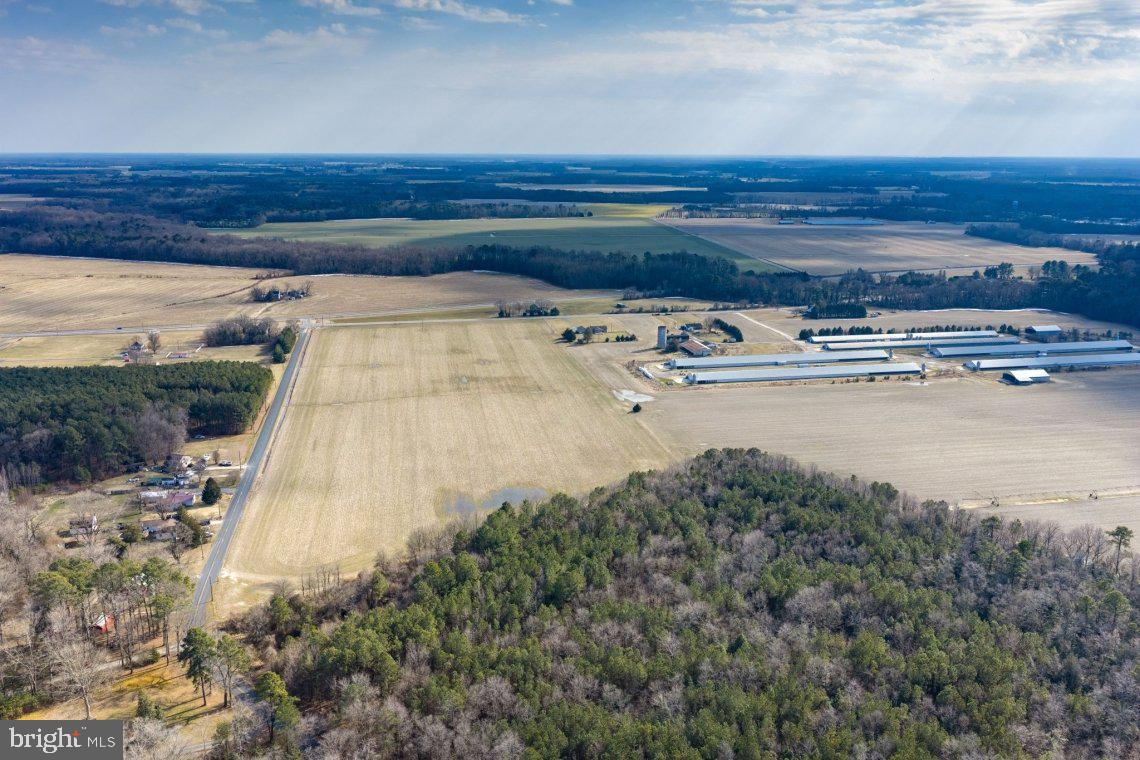 Liberty Road Federalsburg, MD 21632 - Photo 8 of 12