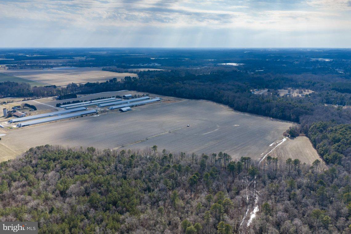 Liberty Road Federalsburg, MD 21632 - Photo 9 of 12