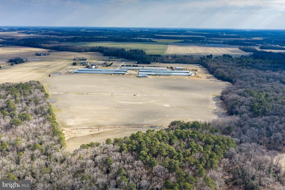 Liberty Road Federalsburg, MD 21632 - Photo 10 of 12