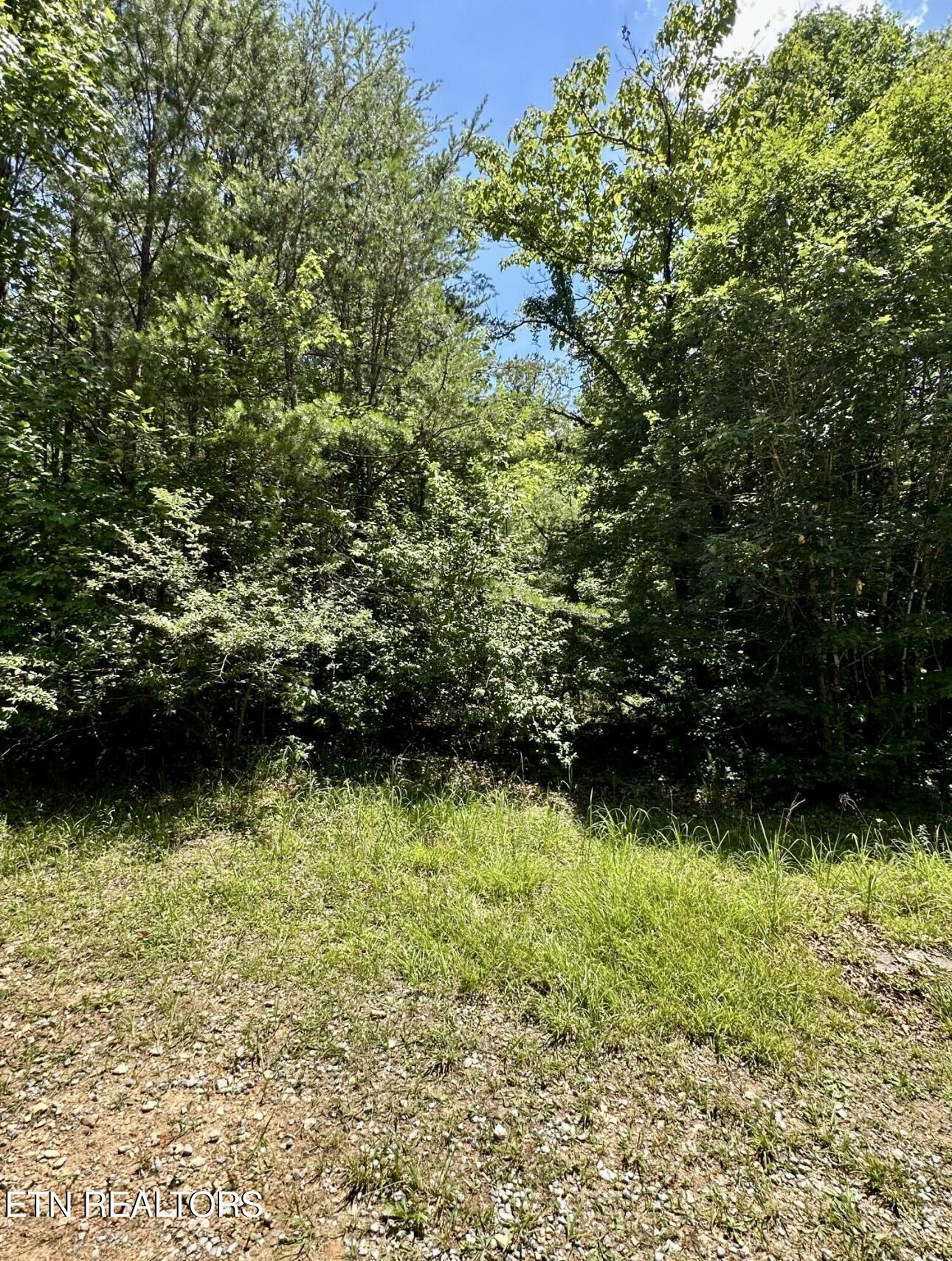 8 Bear Road Tallassee, TN 37878 - Photo 2 of 13 IMG_5403