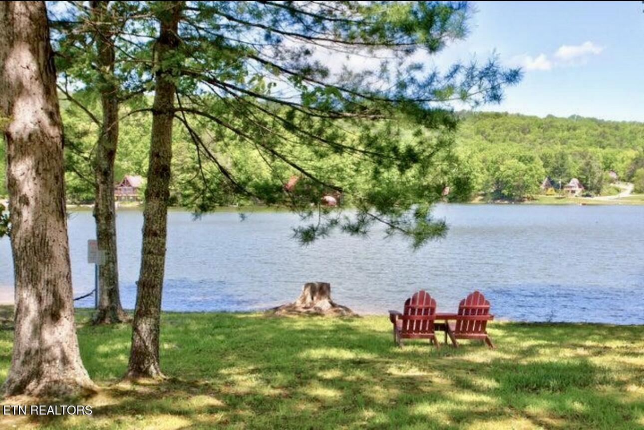 8 Bear Road Tallassee, TN 37878 - Photo 5 of 13 IMG_5397