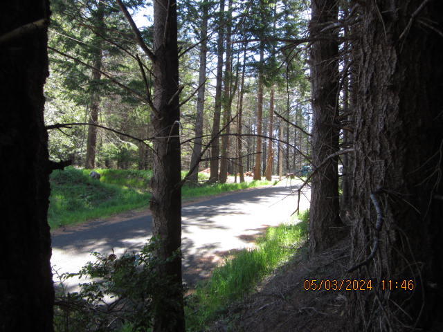 232 Nob Hill Road Shelter Cove, CA 95589 - Photo 19 of 20