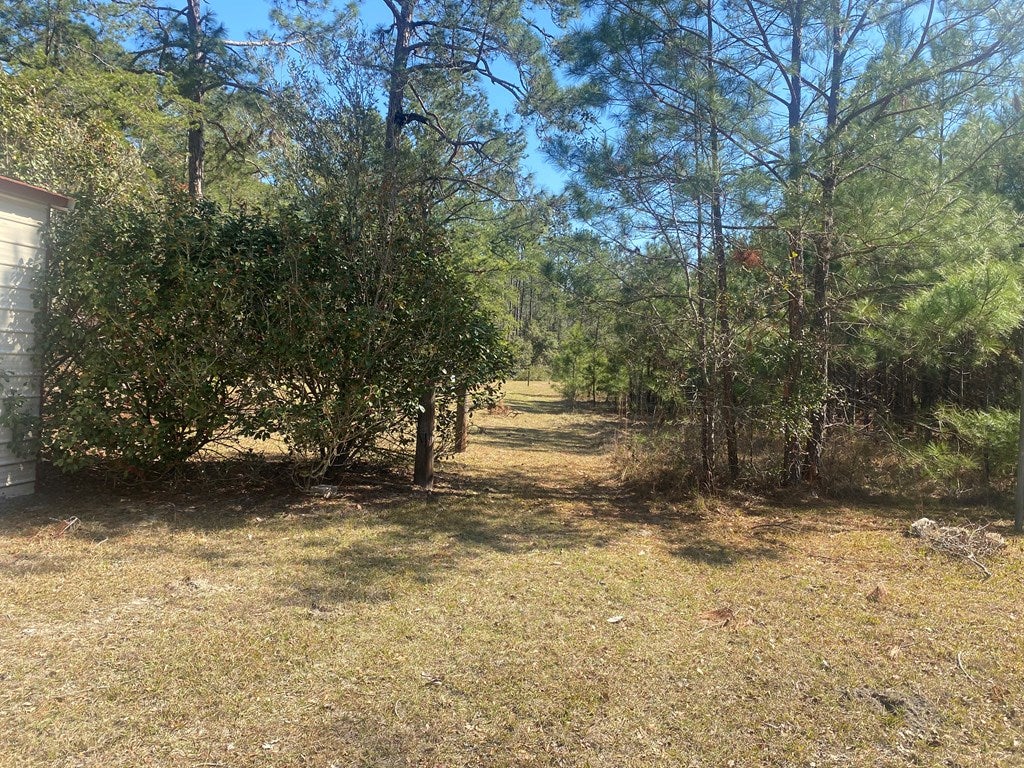 5716 Skipper Bridge Road Hahira, GA 31632 - Photo 10 of 29 Gallery Image 10