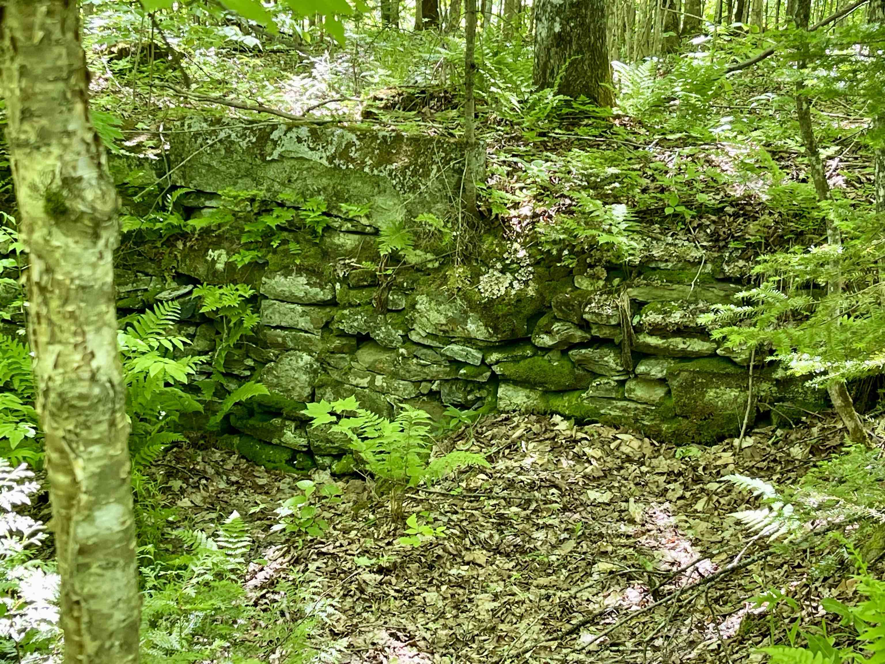 1141 Blakely Road Wheelock, VT 05851 - Photo 8 of 24 Gallery Image 8