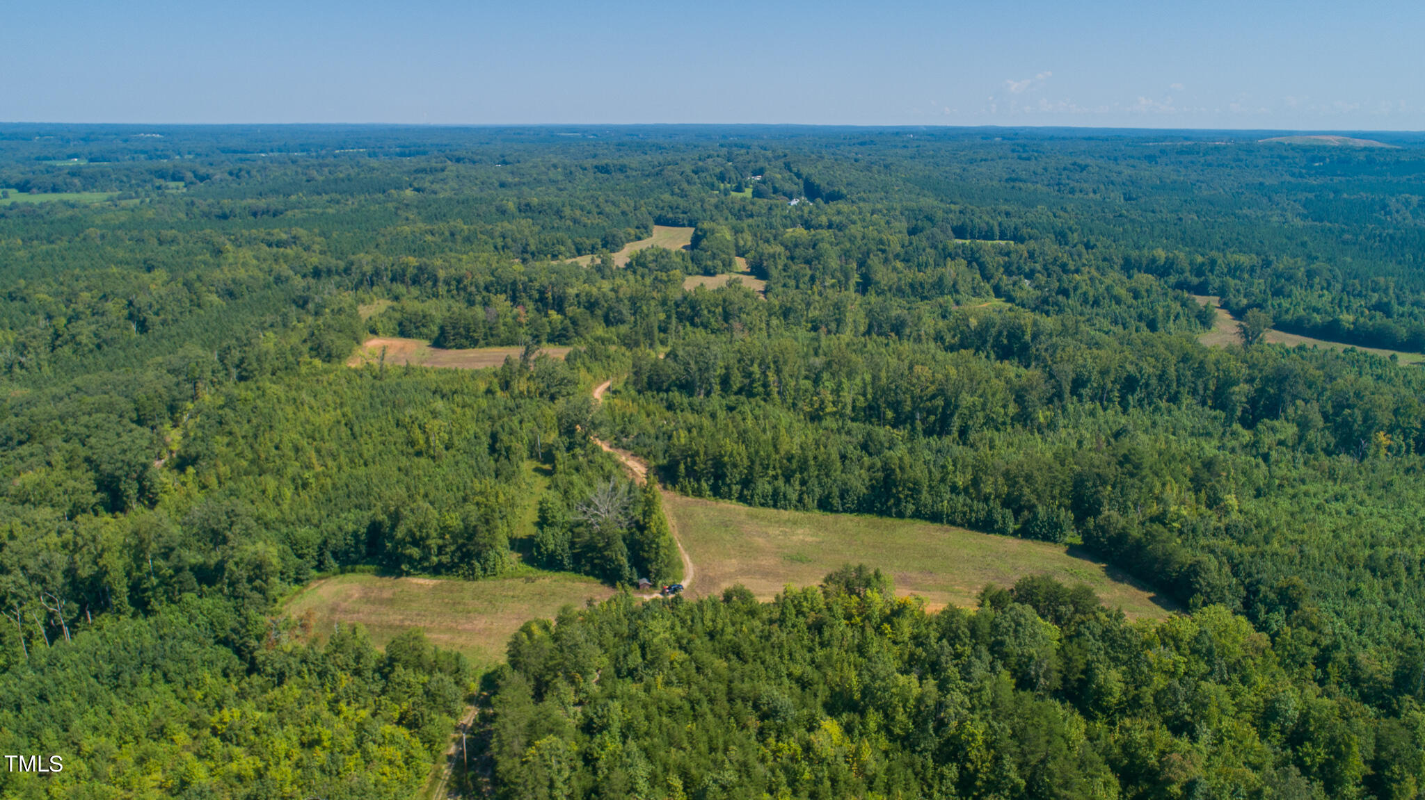 121-acres Medford Oakley Road Rougemont, NC 27572 - Photo 8 of 14 DJI_0285