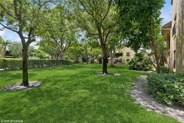a view of a tree in a park