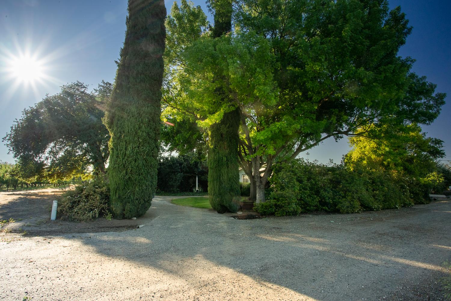 11270 Craig Road Live Oak, CA 95953 - Photo 29 of 86