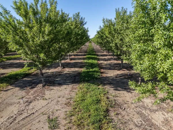 $1,650,000 | 11270 Craig Road, Live Oak, CA 95953