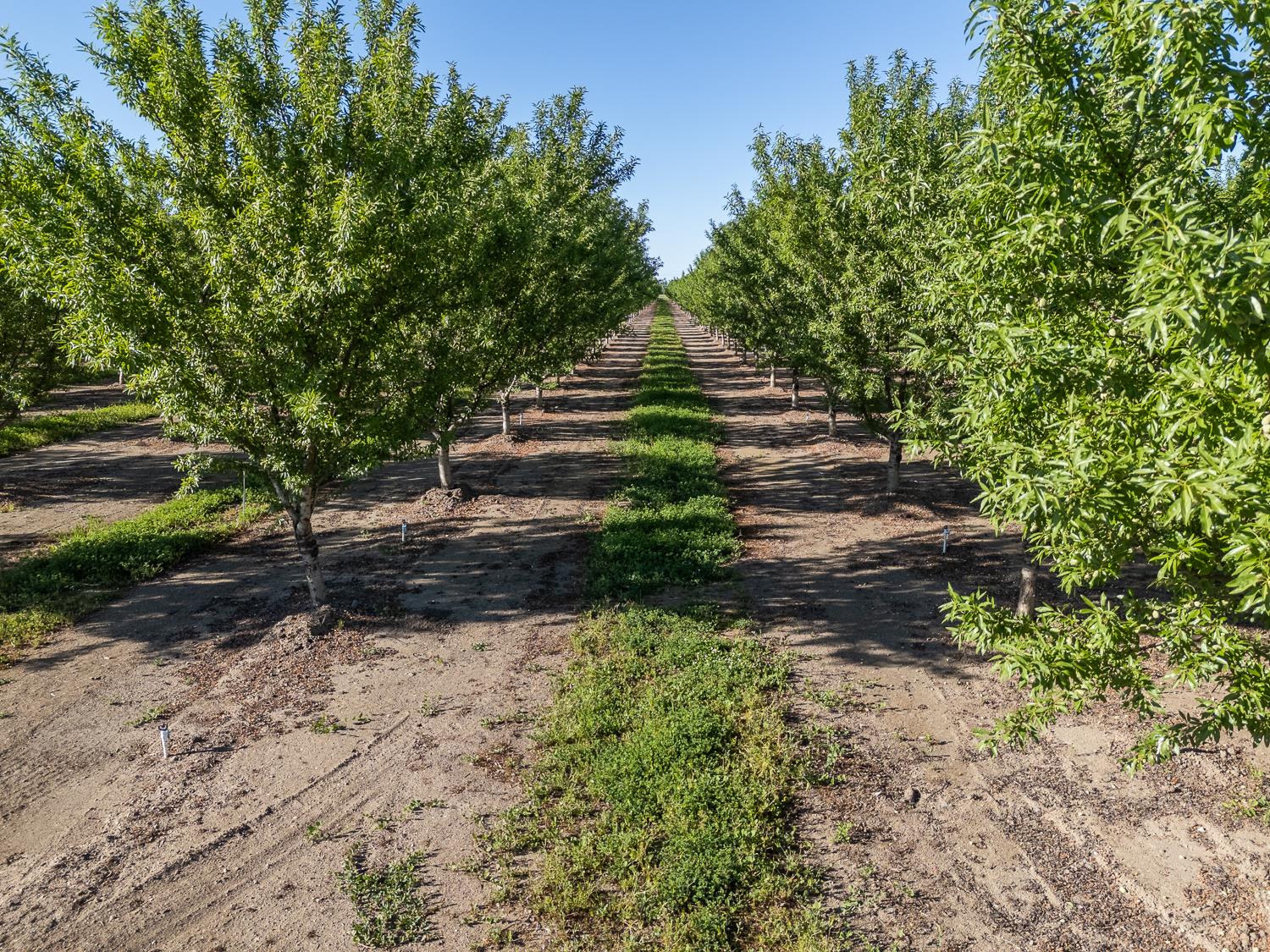 11270 Craig Road Live Oak, CA 95953 - Photo 74 of 86