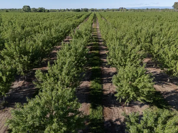 $1,650,000 | 11270 Craig Road, Live Oak, CA 95953