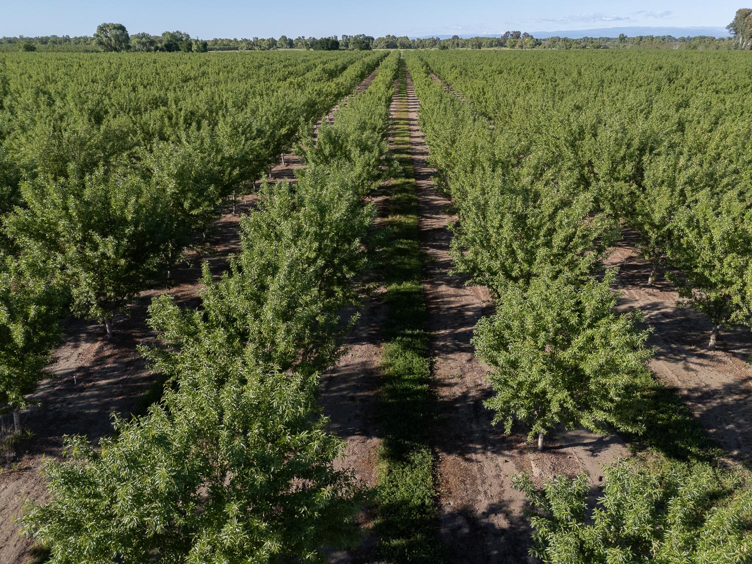 11270 Craig Road Live Oak, CA 95953 - Photo 75 of 86