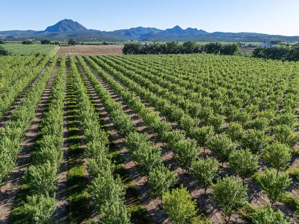 $1,650,000 | 11270 Craig Road, Live Oak, CA 95953