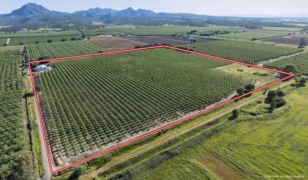 $1,650,000 | 11270 Craig Road, Live Oak, CA 95953